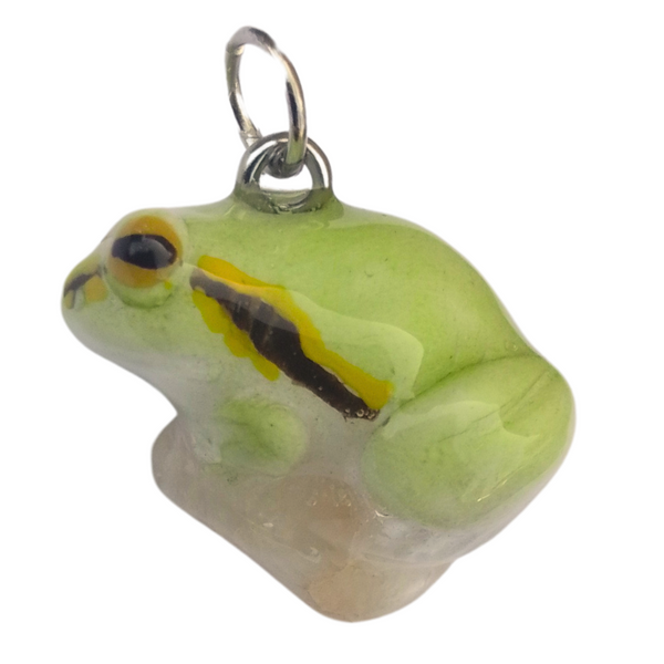 Tree Frog aka Laubfrosch