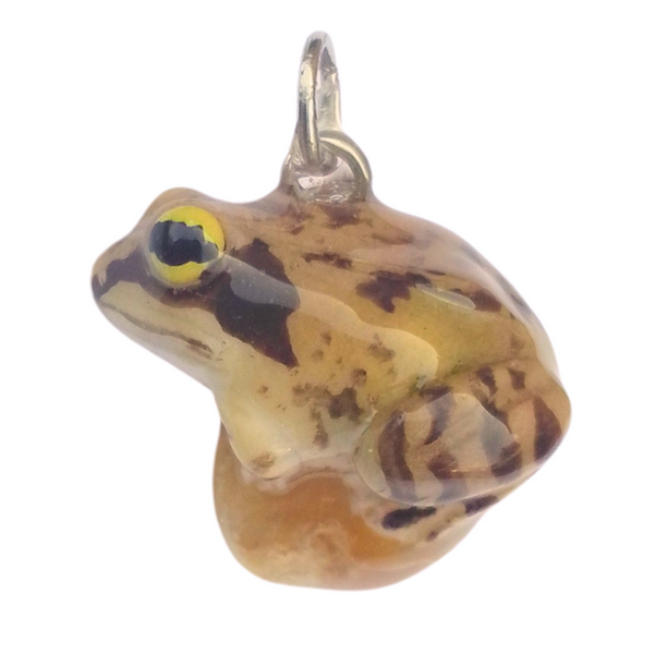 Agile frog (Springfrosch)