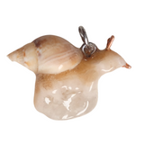 Snail Creature