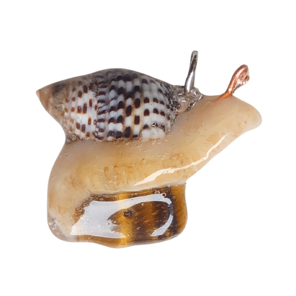 Snail - Tiger's Eye