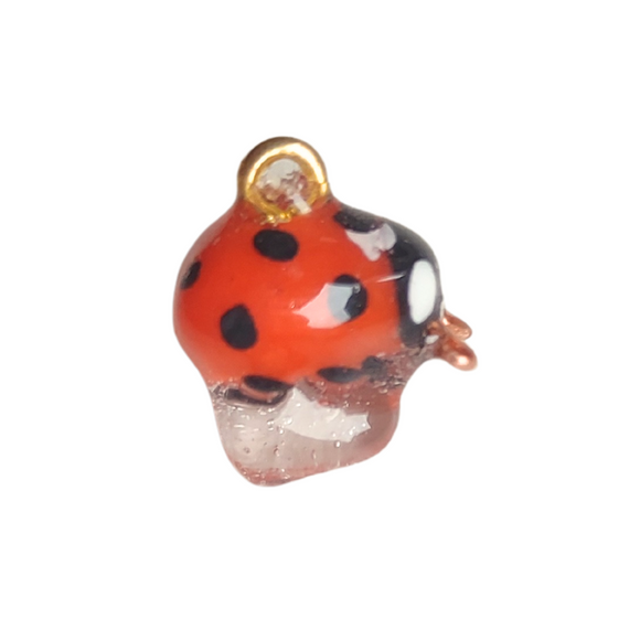 Tiny Ladybug