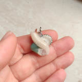 Snail - Agate