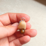 Snail - Tiger's Eye