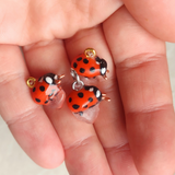 Tiny Ladybug