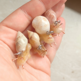 Snail Creature