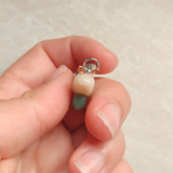 Snail - Agate