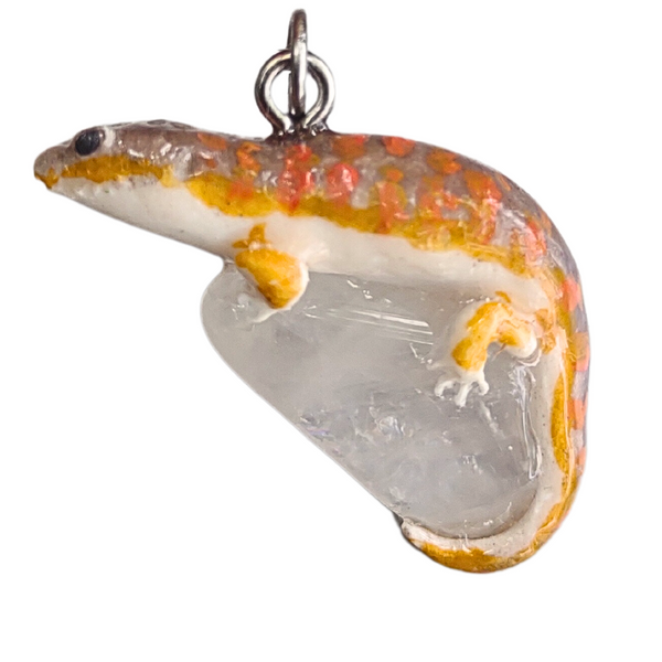 Schneiders Skink