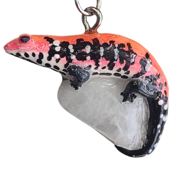 Feuerskink