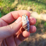 Tiny Snaillotl- Green Aventurine