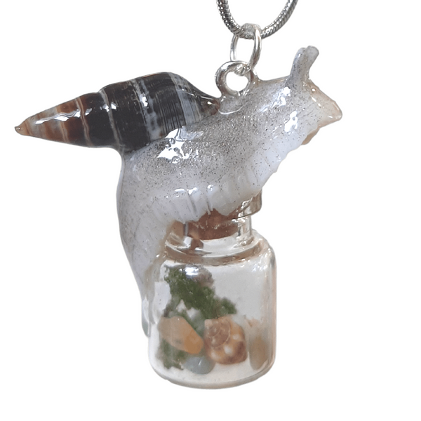 Schneckenzauberflasche 