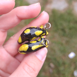 Fire Salamander - Quartz