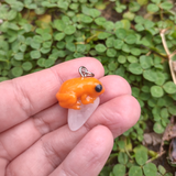 Pumpkin Toadlet - Quartz