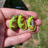 Emerald Tree Skink- Tiger's Eye