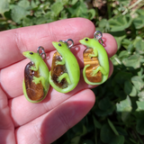 Emerald Tree Skink- Tiger's Eye