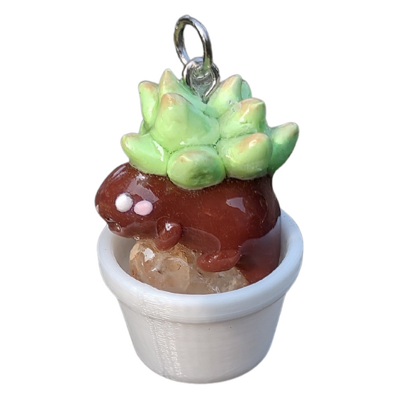 Succulent Creature- Quartz