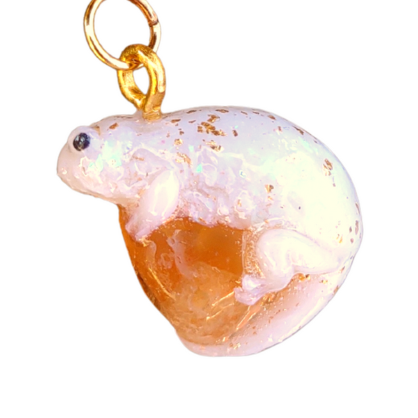 Opaleszierender Bartagame 