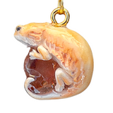 Bearded Dragon (Various Colors) - Carnelian