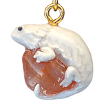 Bearded Dragon (Various Colors) - Carnelian