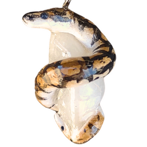 Ball Python