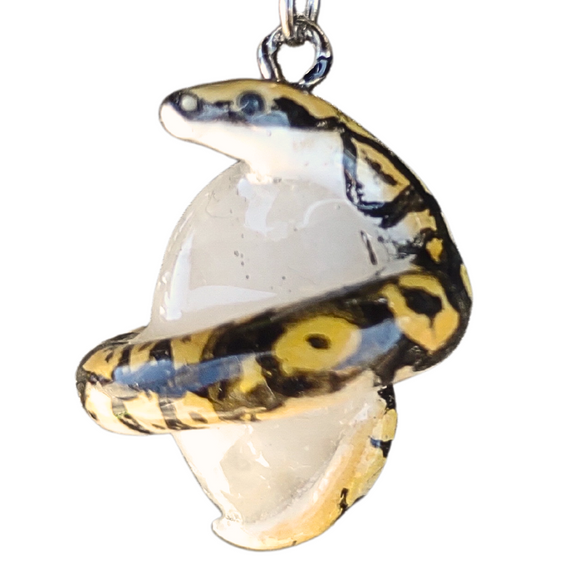 Ball Python