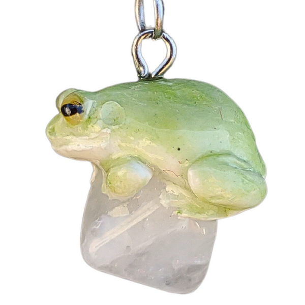 Whites Laubfrosch